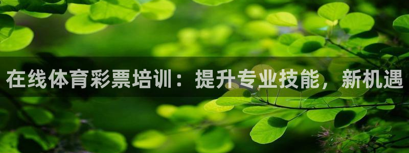 极悦平台家7O777：在线体育彩票培训：提升专业技能