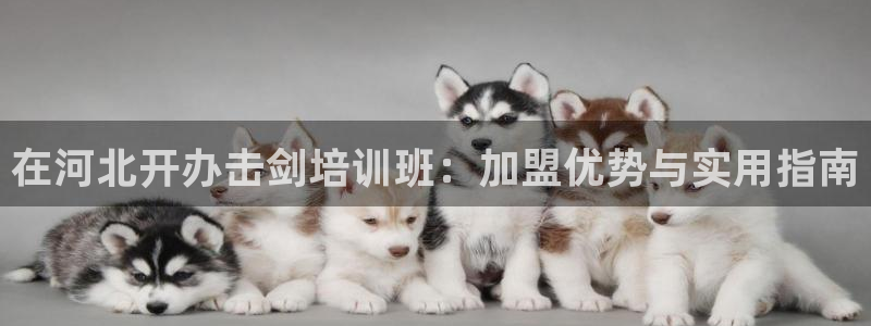 极悦平台app二维码怎么弄到桌面：在河北开办击剑培训