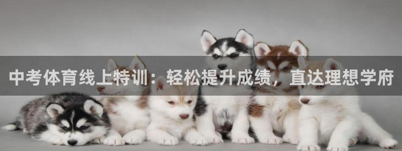 极悦平台是干什么的啊：中考体育线上特训：轻松提升成绩