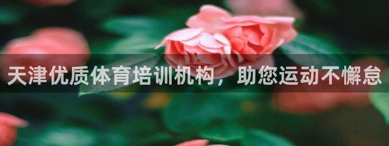 极悦平台官网登录网址查询：天津优质体育培训机构，助您