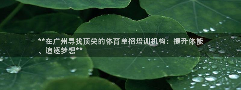 极悦平台注册用户名生成器下载：**在广州寻找顶尖的体