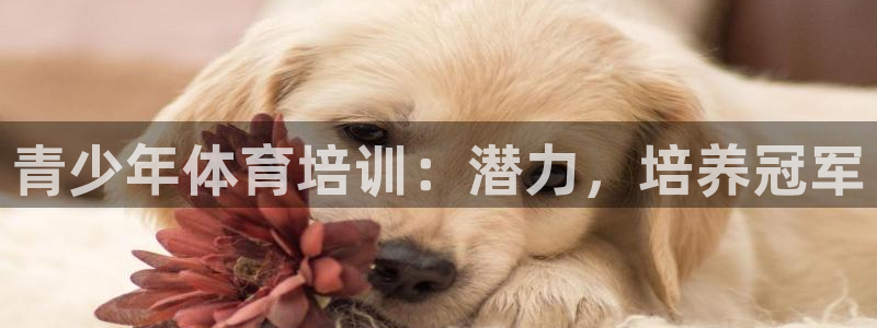 极悦官网首页登录入口：青少年体育培训：潜力，培养冠军