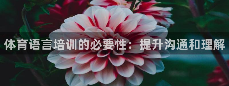 极悦官网的登录方法：体育语言培训的必要性：提升沟通和