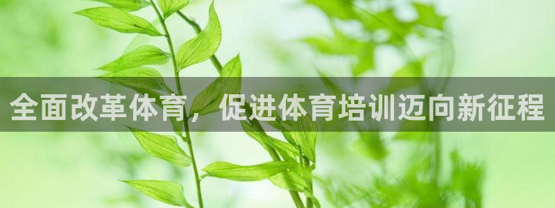 极悦平台注册资金多少：全面改革体育，促进体育培训迈向