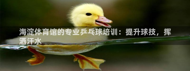 极悦平台官方网址是什么：海淀体育馆的专业乒乓球培训：