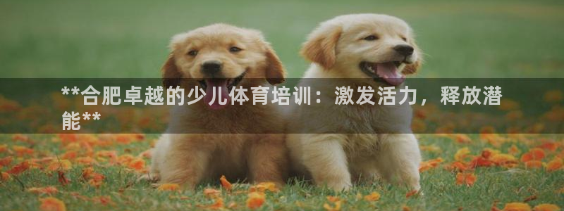 极悦平台官方网站登录不了：**合肥卓越的少儿体育培训