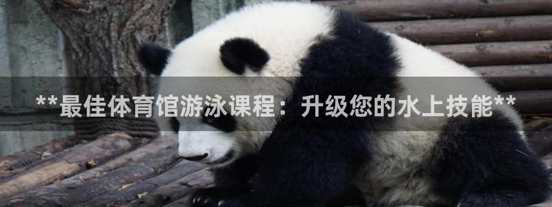 极悦平台代理：**最佳体育馆游泳课程：升级您的水上技