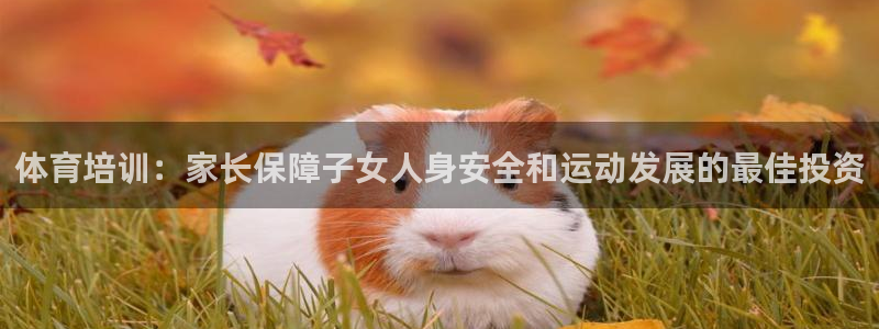 极悦平台注册申请流程详解视频：体育培训：家长保障子女