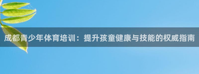极悦平台股东名单：成都青少年体育培训：提升孩童健康与