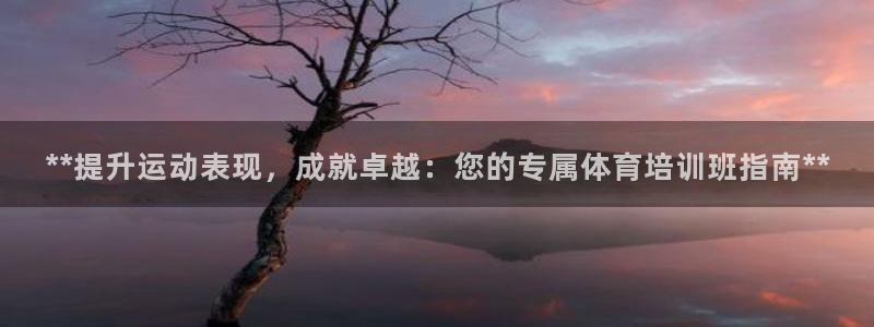极悦平台注册：**提升运动表现，成就卓越：您的专属体