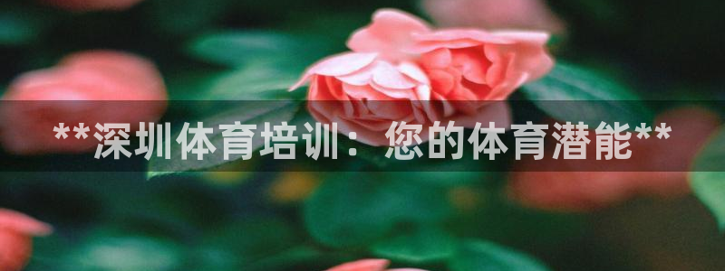极悦益生菌猫粮怎么样：**深圳体育培训：您的体育潜能**