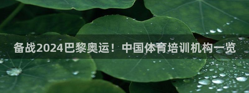 极悦娱乐下载官网安装：备战2024巴黎奥运！中国体育