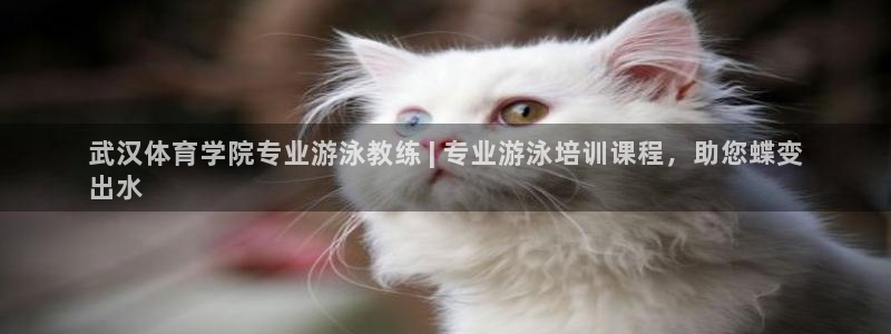 极悦平台告7O777：武汉体育学院专业游泳教练 | 