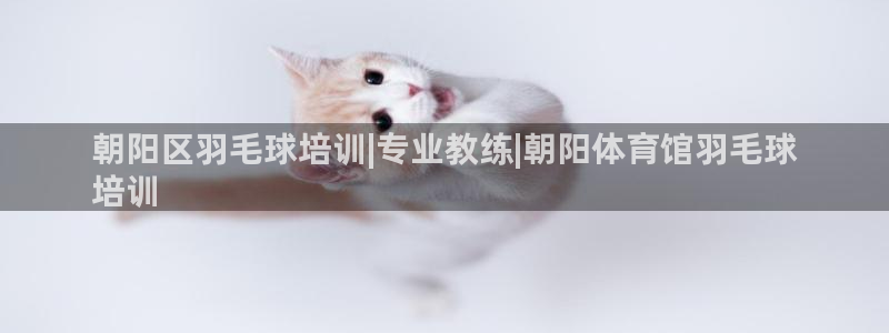 极悦平台注册资金多少亿：朝阳区羽毛球培训|专业教练|