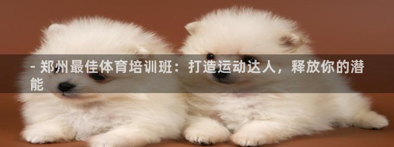 极悦娱乐部7O777：- 郑州最佳体育培训班：打造运
