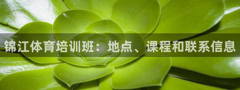 极悦娱乐分7O777：锦江体育培训班：地点、课程和联