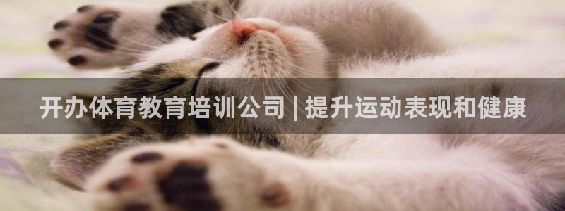 极悦平台非7O777：开办体育教育培训公司 | 提升