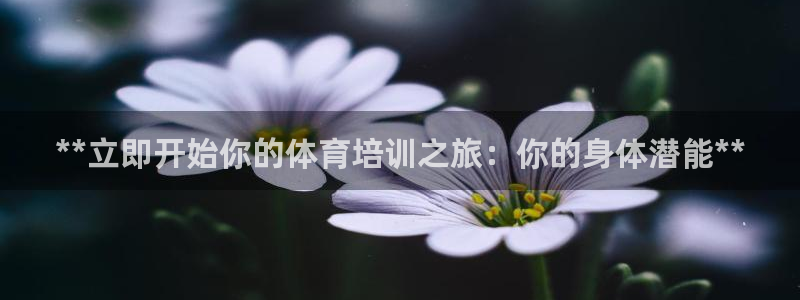 极悦娱乐公司最新招聘信息网：**立即开始你的体育培训