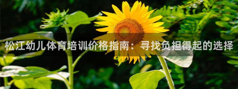 极悦平台注册流程详解图片：松江幼儿体育培训价格指南：