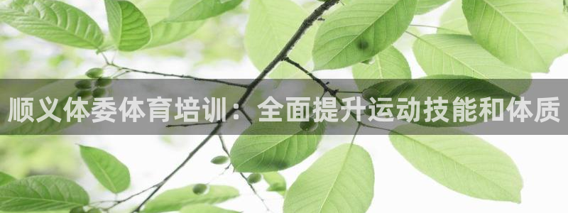 极悦娱乐官网客服联系方式是什么：顺义体委体育培训：全