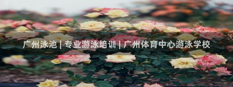 极悦平台注册失败如何解决方法：广州泳池 | 专业游泳