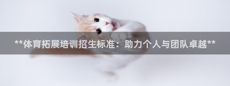 极悦平台官网入口下载：**体育拓展培训招生标准：助力