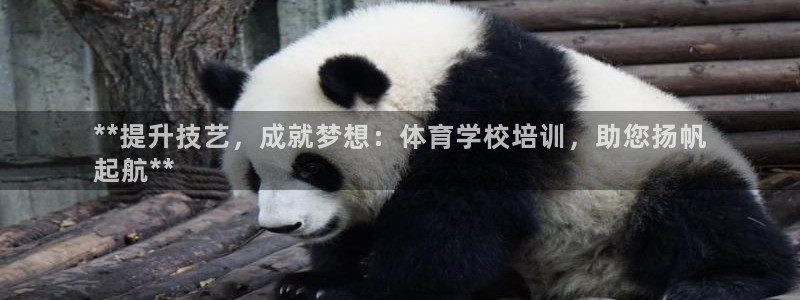 极悦平台使用注意事项是什么：**提升技艺，成就梦想：