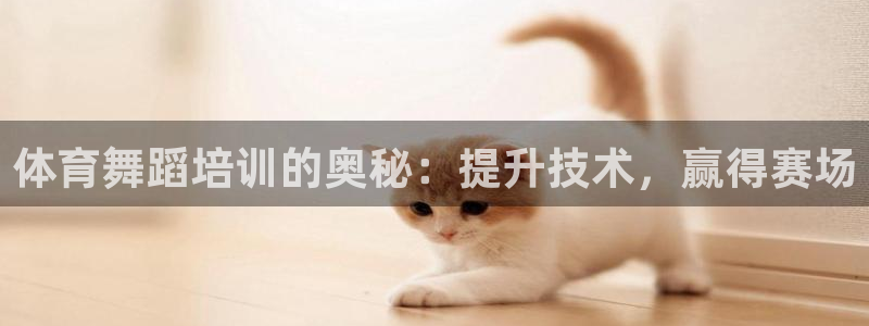 极悦娱乐是资金盘吗：体育舞蹈培训的奥秘：提升技术，赢得赛场