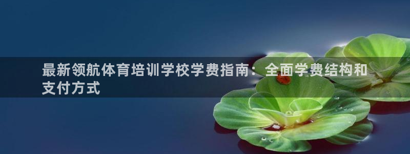 极悦平台是干嘛的啊：最新领航体育培训学校学费指南：全