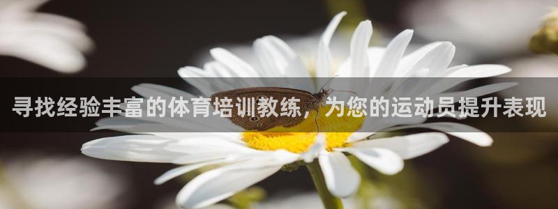 极悦平台非7O777：寻找经验丰富的体育培训教练，为您的运动
