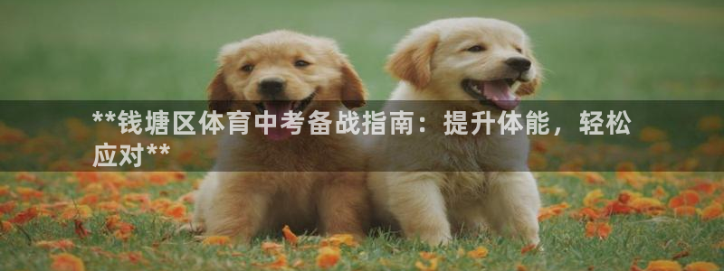 加盟极悦教育多少钱：**钱塘区体育中考备战指南：提升