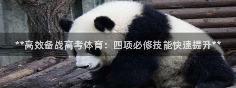 极悦平台官网登录入口网址是什么：**高效备战高考体育：四项必