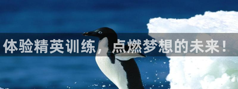 石家庄极悦空间设计有限公司：体验精英训练，点燃梦想的未来！