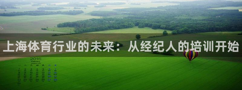 极悦平台和蓝狮平台区别大吗：上海体育行业的未来：从经