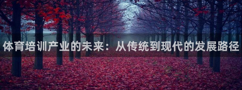 极悦娱乐官网客服联系方式：体育培训产业的未来：从传统到现代的