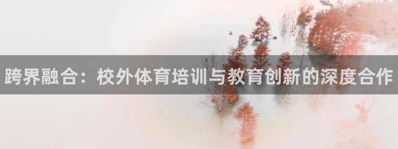 加盟极悦教育要多少钱：跨界融合：校外体育培训与教育创新的深度