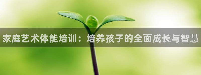 极悦平台官网入口网址：家庭艺术体能培训：培养孩子的全