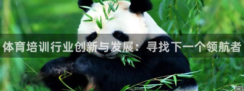 极悦娱乐股东结构：体育培训行业创新与发展：寻找下一个