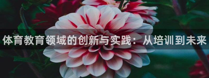 极悦平台注册流程详解图：体育教育领域的创新与实践：从培训到未