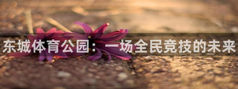 极悦平台注册官网下载：东城体育公园：一场全民竞技的未来