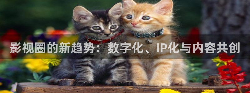 伊人影院焦影院：影视圈的新趋势：数字化、IP化与内容共创