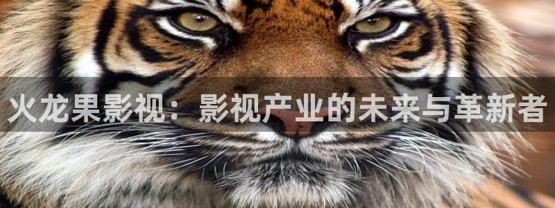 伊人色院线：火龙果影视：影视产业的未来与革新者