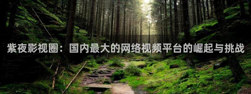 伊人久影院：紫夜影视圈：国内最大的网络视频平台的崛起与挑战