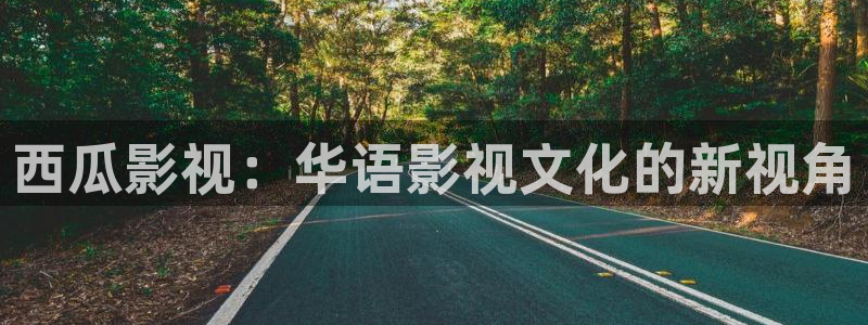 日韩伊人影院：西瓜影视：华语影视文化的新视角