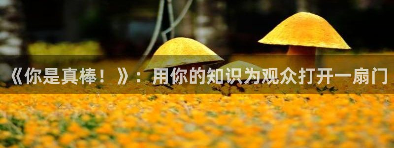 伊人影院：《你是真棒！》：用你的知识为观众打开一扇门